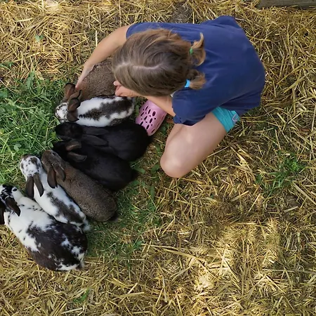 Loeschgruberhof - Urlaub Am Bauernhof ファームステイ