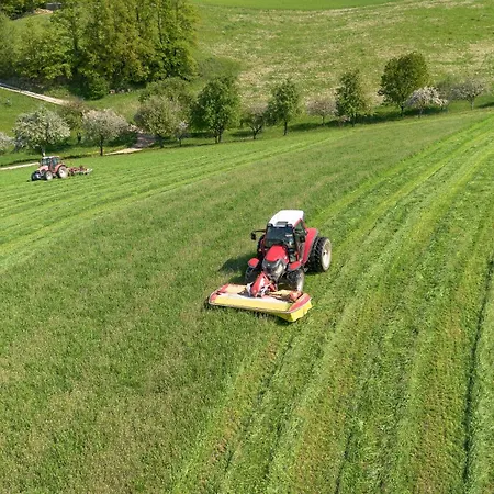 Loeschgruberhof - Urlaub Am Bauernhof Rechberg