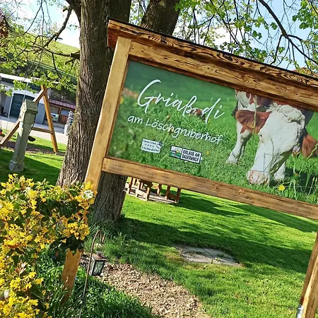 Loeschgruberhof - Urlaub Am Bauernhof Rechberg