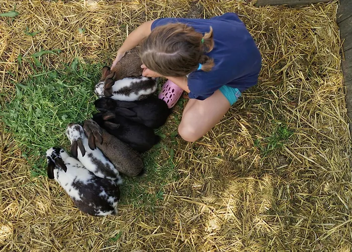Löschgruberhof - Urlaub Am Bauernhof Bauernhof