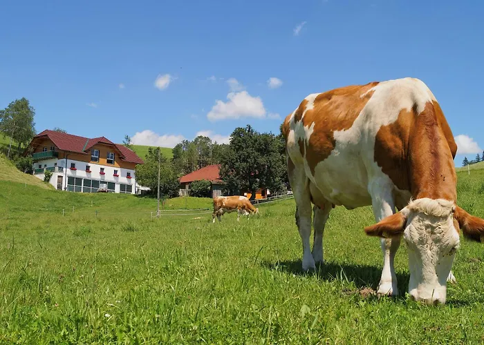 Loeschgruberhof - Urlaub Am Bauernhof Rechberg