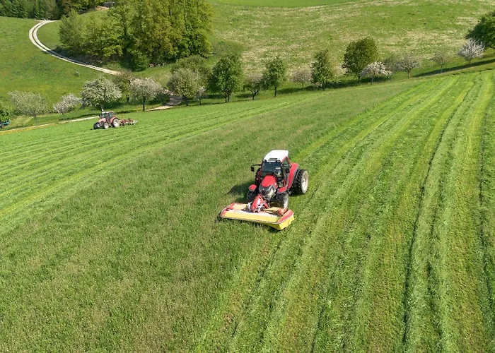 Loeschgruberhof - Urlaub Am Bauernhof Rechberg