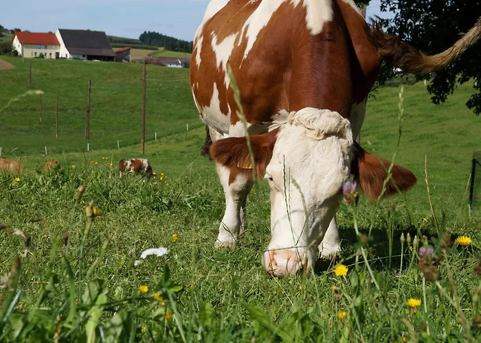 Loeschgruberhof - Urlaub Am Bauernhof Farma