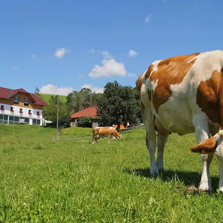 Loeschgruberhof - Urlaub Am Bauernhof Rechberg