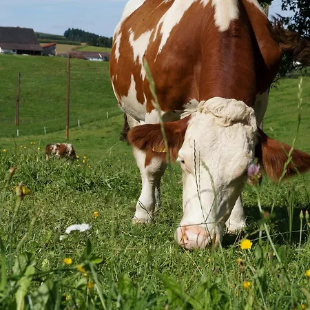 Loeschgruberhof - Urlaub Am Bauernhof Κατάλυμα σε φάρμα